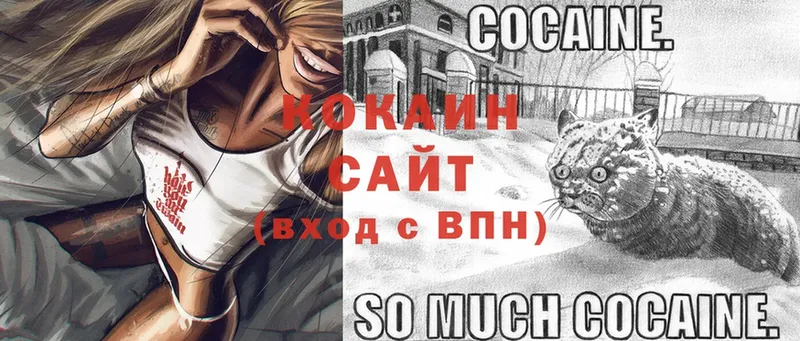 Кокаин 99%  Гудермес 